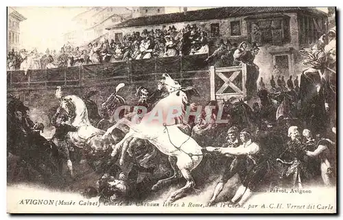 Cartes postales Hippisme Equitation Avignon Musee Calvet Course de chevaux libres a Rome dans le Corso Vernet di