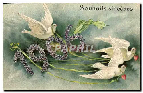 Cartes postales Fantaisie Fleurs Annee 1906 Colombes