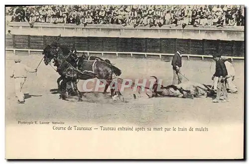 Cartes postales Corrida Course de taureaux Taureau entraine apres sa mort par le train de mulets
