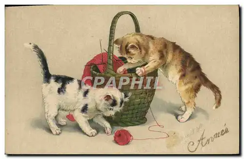 Cartes postales Fantaisie Chats Chatons