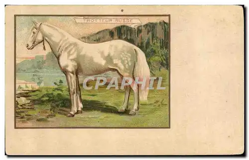 Cartes postales Equitation Hippisme Cheval Trotteur russe Russie Russia