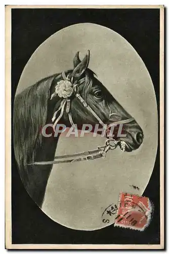 Cartes postales Equitation Hippisme Cheval