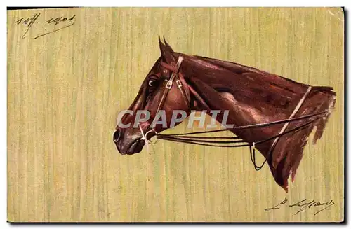 Cartes postales Equitation Hippisme Cheval