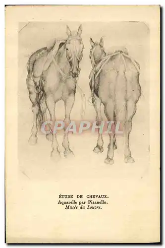 Cartes postales Equitation Hippisme Cheval Etude de chevaux Aquarelle de Pisanello Musee du Louvre