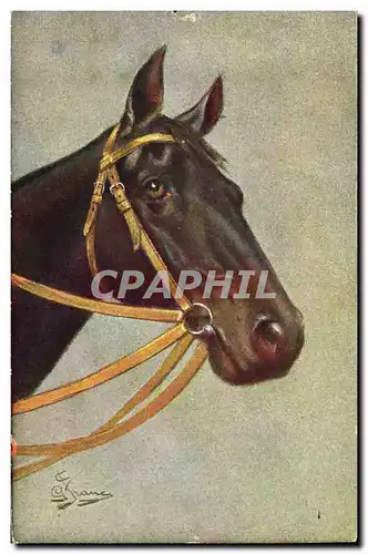 Ansichtskarte AK Equitation Hippisme Cheval