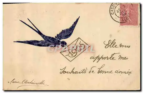 Ansichtskarte AK Fantaisie Annee 1905 Hirondelle Oiseau