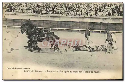 Cartes postales Corrida Course de Taureaux Taureau entrain apres sa mort par le train de mulets