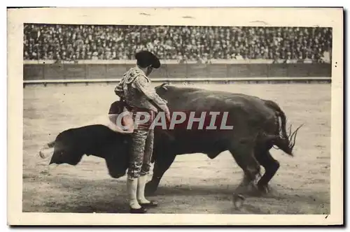 Cartes postales Corrida Course de Taureaux