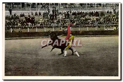 Cartes postales Corrida Course de Taureaux
