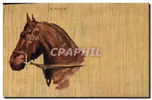 Cartes postales Equitation Hippisme Cheval Jralander