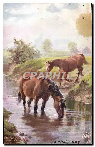 Cartes postales Equitation Hippisme Cheval A thirsty day