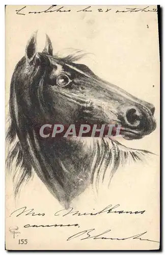 Cartes postales Equitation Hippisme Cheval