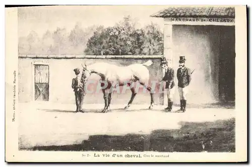 Ansichtskarte AK Equitation Hippisme La vie d&#39un Cheval