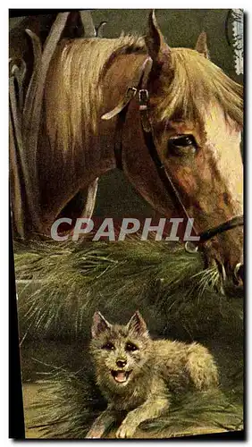 Ansichtskarte AK Equitation Hippisme Cheval Chien