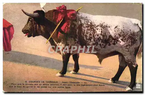 Cartes postales Corrida Course de Taureaux Avant l&#39estocade