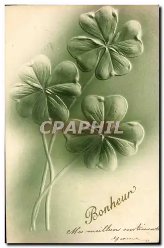 Cartes postales Fantaisie Fleurs Trefles (en relief)