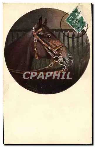 Ansichtskarte AK Cheval Equitation Hippisme