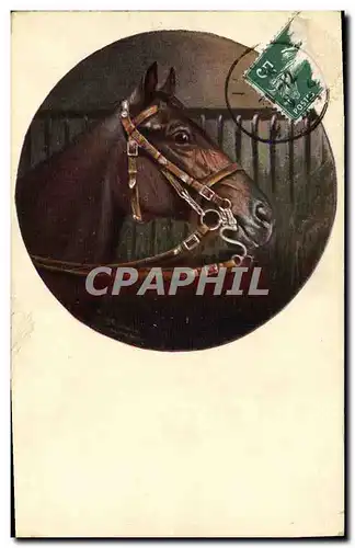 Cartes postales Cheval Equitation Hippisme