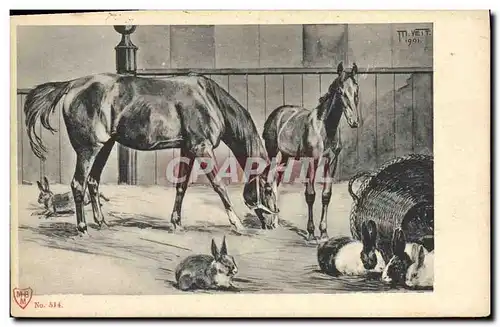 Ansichtskarte AK Cheval Equitation Hippisme Lapins