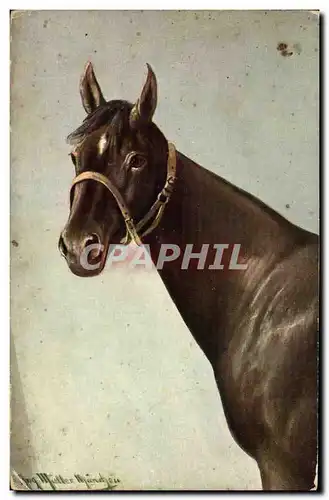 Ansichtskarte AK Cheval Equitation Hippisme Illustrateur