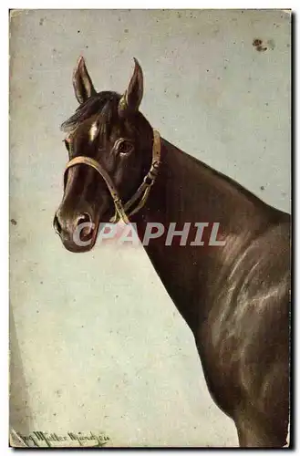 Cartes postales Cheval Equitation Hippisme Illustrateur