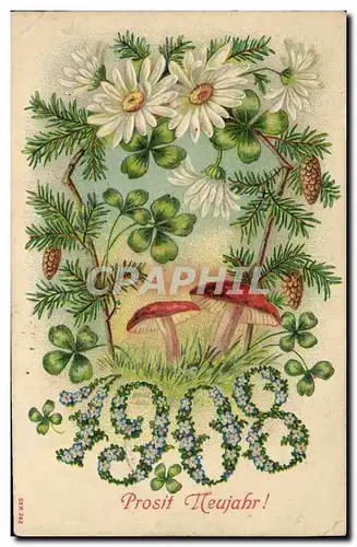 Cartes postales Fantaisie Fleurs Annee 1908 Champignons
