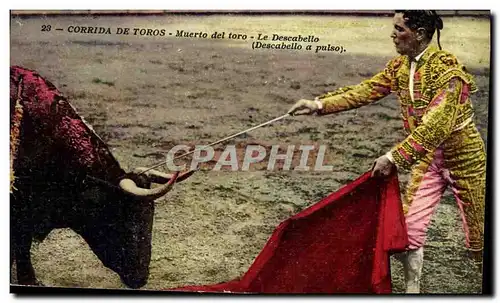 Cartes postales Corrida Course de taureaux Muerte del toro Le Descabello