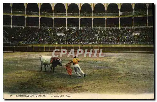 Cartes postales Corrida Course de taureaux Muerte del toro