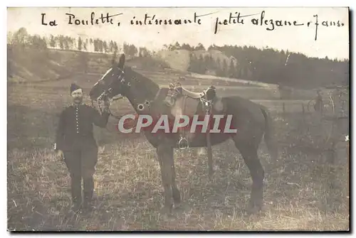 CARTE PHOTO Cheval Equitation Hippisme La Poulette Alezane 7 ans Militaria