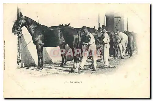 Ansichtskarte AK Cheval Equitation Hippisme Le pansage Militaria