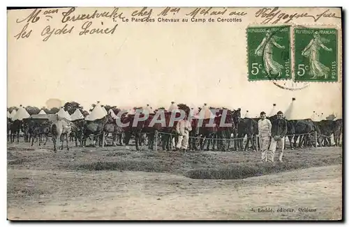 Cartes postales Cheval Equitation Hippisme Le parc des chevaux au Camp de Cercottes