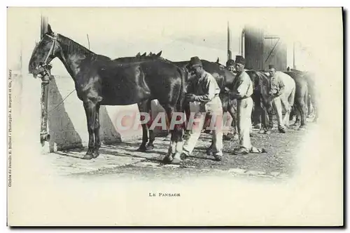 Ansichtskarte AK Cheval Equitation Hippisme Le pansage Militaria