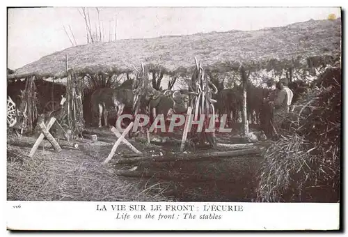 Ansichtskarte AK Cheval Equitation Hippisme La vie sur le front L&#39ecurie Militaria