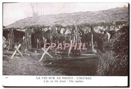Cartes postales Cheval Equitation Hippisme La vie sur le front L&#39ecurie Militaria