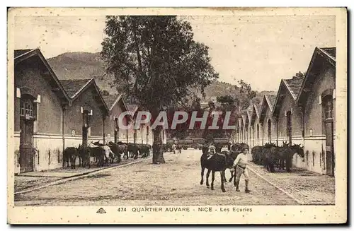 Cartes postales Cheval Equitation Hippisme Quartier Auvare Nice les ecuries