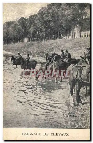 Cartes postales Cheval Equitation Hippisme Baignade de chevaux Militaria