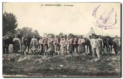 Cartes postales Cheval Equitation Hippisme Mailly le Camp Le pansage Militaria