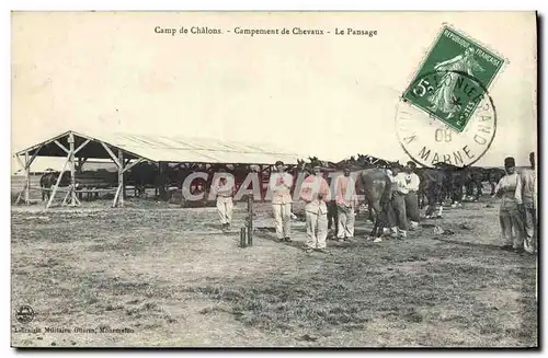Cartes postales Cheval Equitation Hippisme Camp de Chalons Campement de chevaux Le pansage Militaria