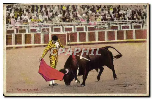 Cartes postales Corrida Course de taureaux Un pase natural