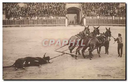 Ansichtskarte AK Corrida Course de taureaux El arrastre