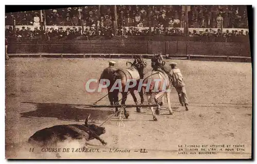 Cartes postales Corrida Course de taureaux L&#39arrastre