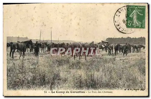 Ansichtskarte AK Cheval Equitation Hippisme Le camp de Cercottes Le parc des chevaux Militaria