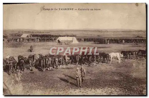 Ansichtskarte AK Cheval Equitation Hippisme Camp de la Valbonne Cavalerie au repos Militaria