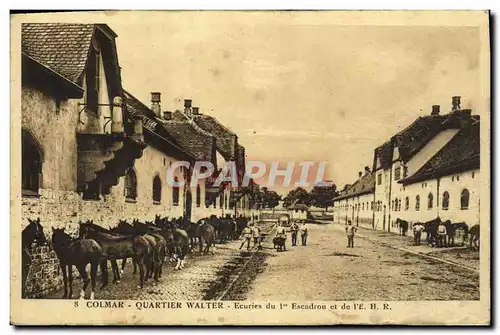 Cartes postales Cheval Equitation Hippisme Colmar Quartier Walter Ecuries du 1er escadron et de l&#39EHR