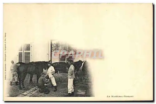 Cartes postales Cheval Equitation Hippisme Le marechal ferrant Militaria