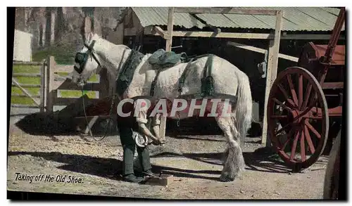 Cartes postales Cheval Equitation Hippisme Taking off the old shoe Marechal Ferrant Militaria