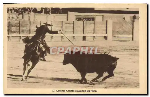 Cartes postales Corrida Course de taureaux D Antonio Cafiero clavando un rejon