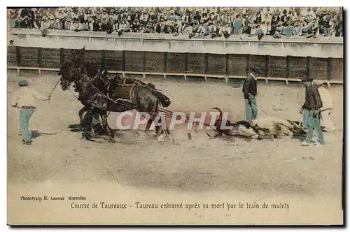 Cartes postales Corrida Course de taureaux Taureau entraine apres sa mort par le train de mulets