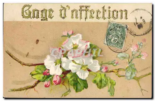 Cartes postales Fantaisie Fleurs