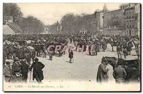 Ansichtskarte AK Cheval Hippisme Equitation Caen Le Marche aux chevaux